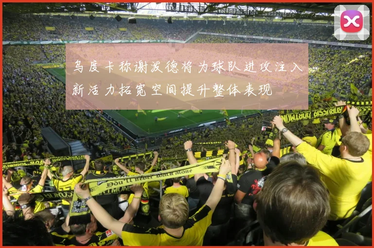 乌度卡称谢泼德将为球队进攻注入新活力拓宽空间提升整体表现